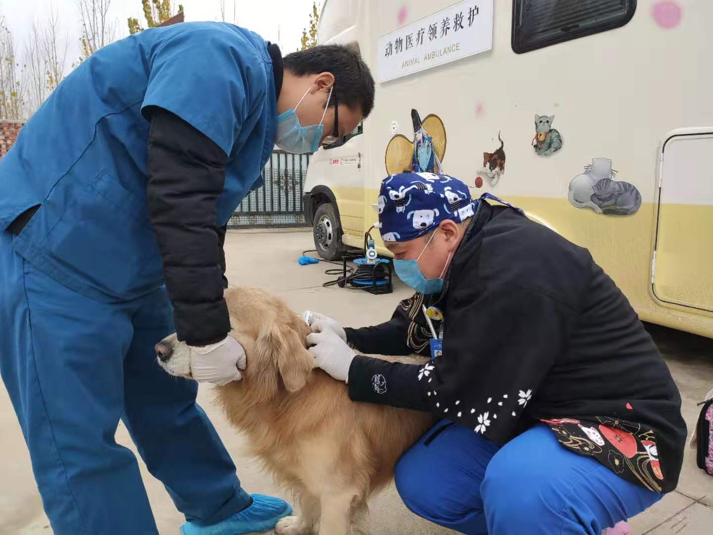 《阴阳师》公益救助车开启治愈之旅 守护流浪小动物