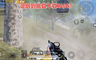 《吃鸡bug》吃鸡老湿：高手选择消焰器是为了混烟！这操作到底算不算卡BUG？(视频)