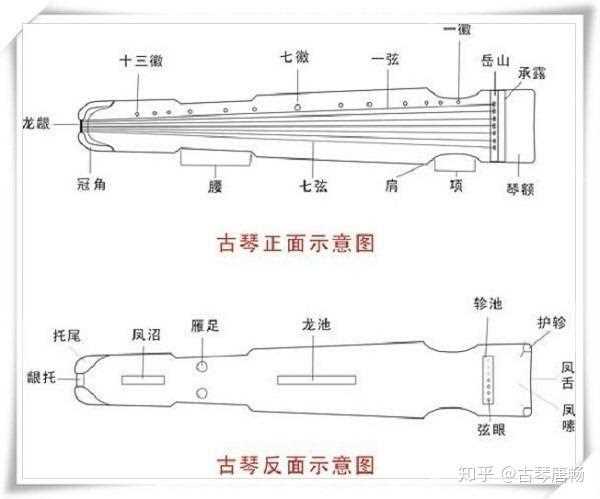 一般古琴的琴面为？_一般古琴的琴面为攻略